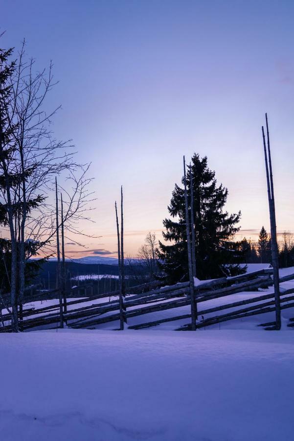 Asarna Skicenter Exterior photo